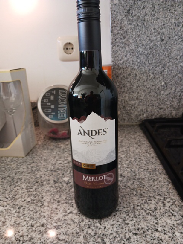 Merlot Valle Central - Image 1