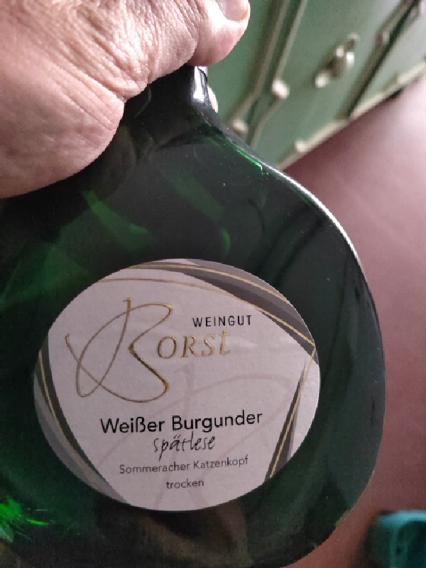 Weißer Burgunder Spätlese trocken - Image 1