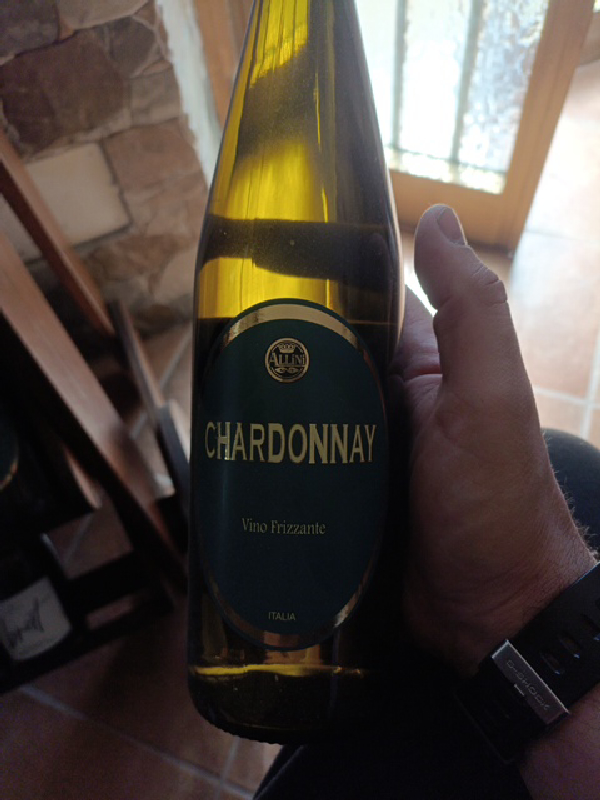 Chardonnay Vino Frizzante - Image 1