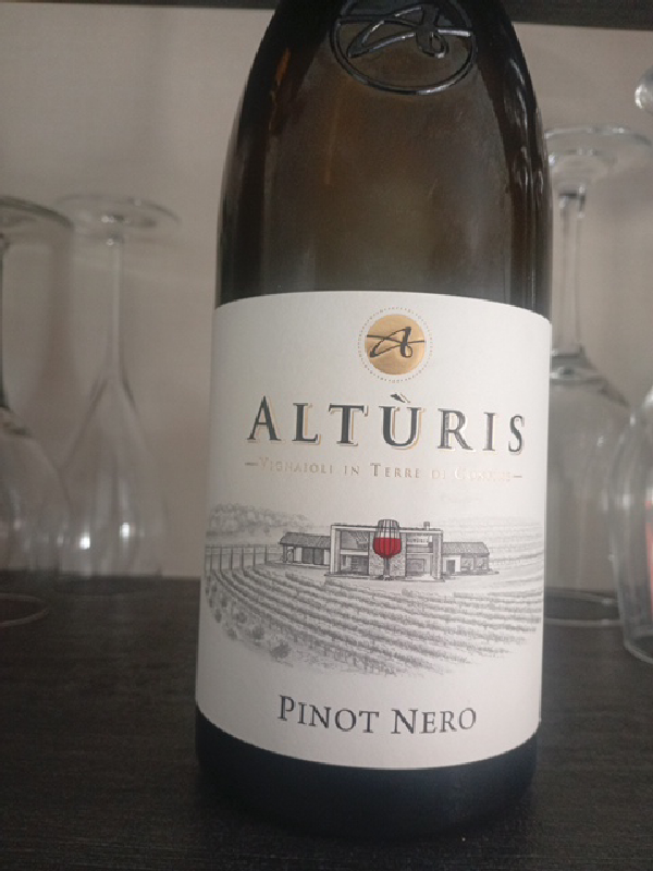 Pinot Nero - Image 1
