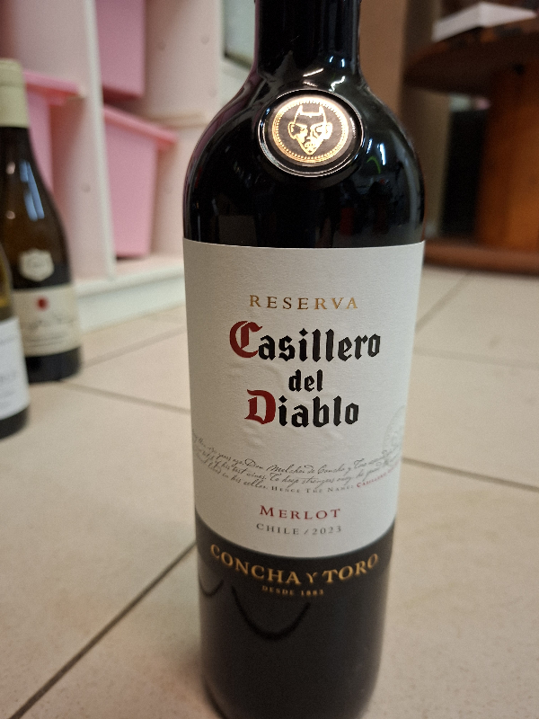 Casillero del Diablo Reserva Merlot - Image 1
