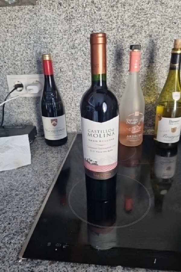 Castillo de Molina Gran Reserva Cabernet Sauvignon - Image 1