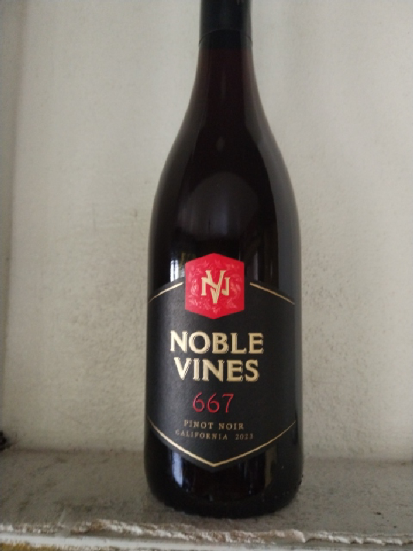 Noble Vines 667 Pinot Noir - Image 1
