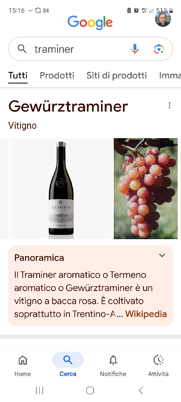 Altùris Traminer Aromatico - Image 1