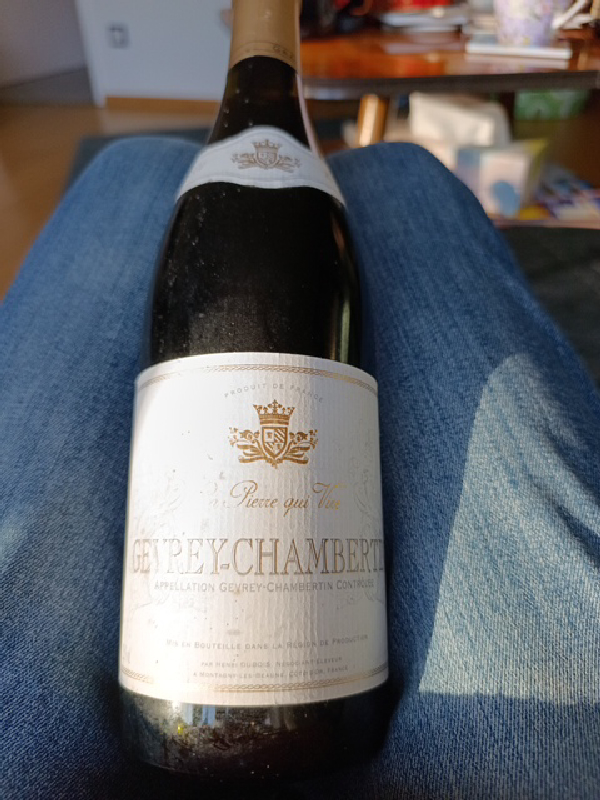 Gevrey-Chambertin La Pierre qui Vue - Image 1