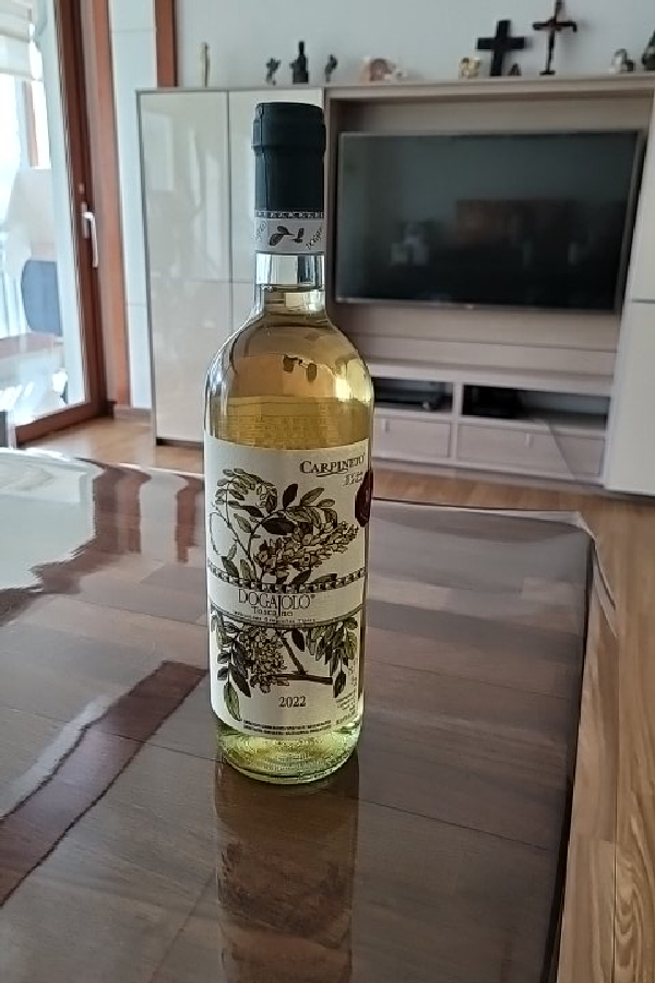Dogajolo Toscana Bianco 2022 - Image 1