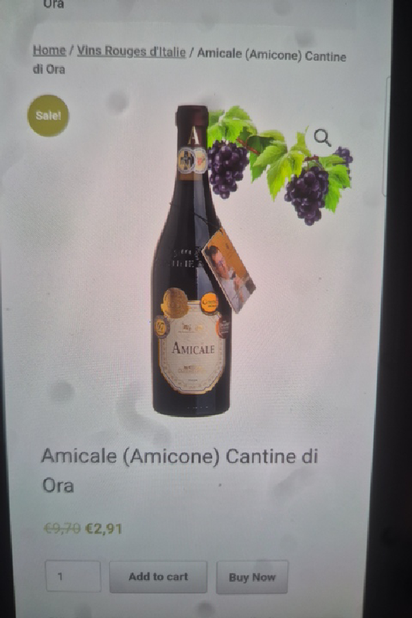 Amicale Rosso Veneto IGT - Image 1