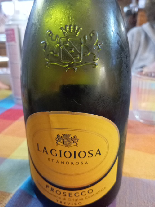 La Gioiosa Prosecco DOC Treviso - Image 1