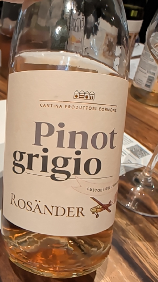 Rosänder Pinot Grigio - Image 1
