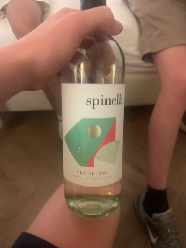 Pecorino Terre di Chieti - Image 1