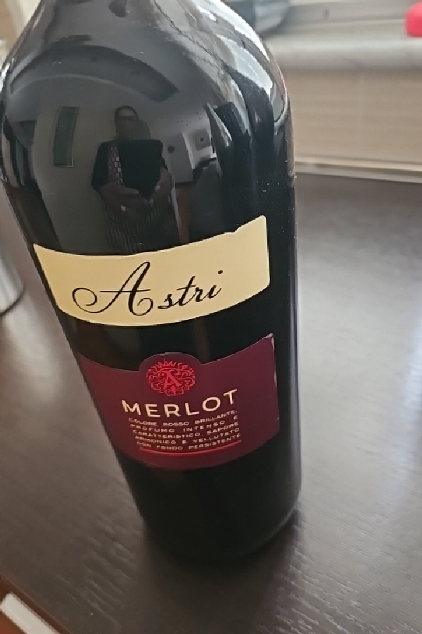 Astri Merlot - Image 1