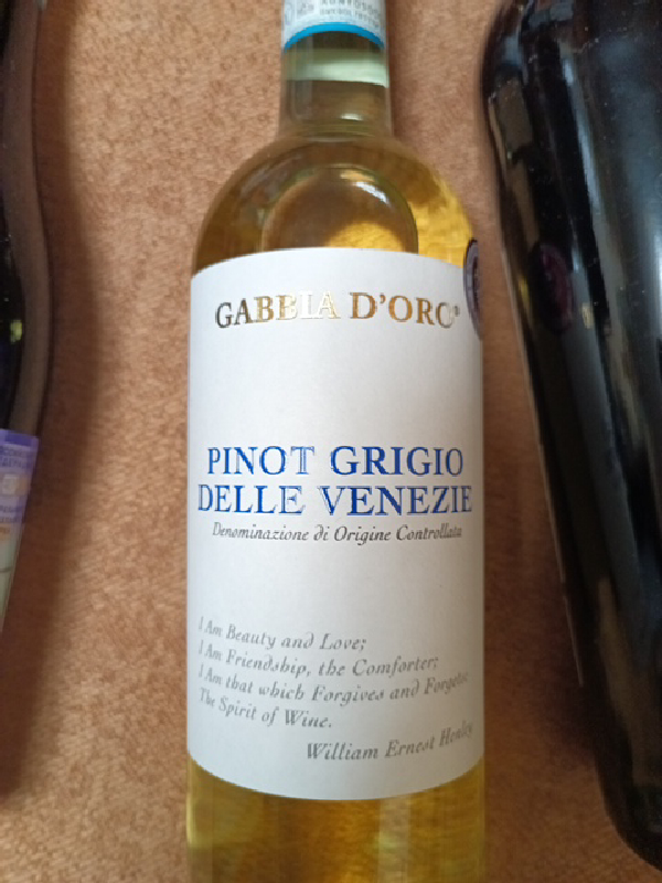 Gabbia D'Oro Pinot Grigio Delle Venezie - Image 1