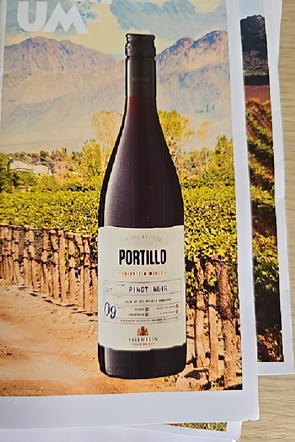 Portillo Pinot Noir - Image 1