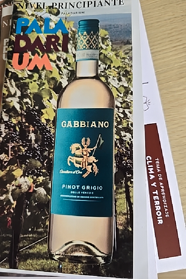 Cavaliere d'Oro Pinot Grigio Delle Venezie - Image 1