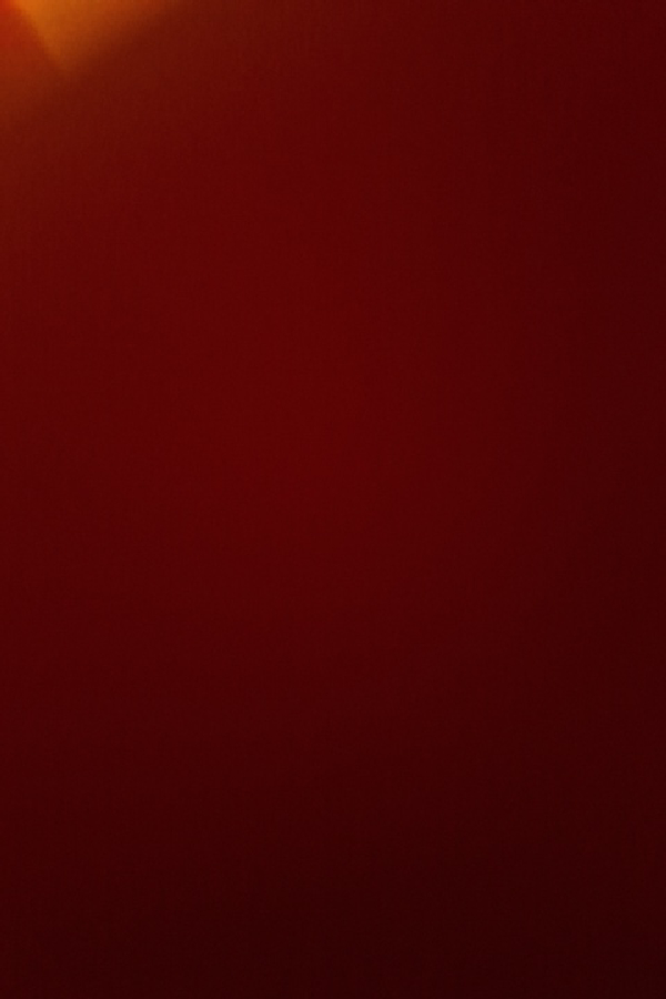 Unable to identify - Image 1