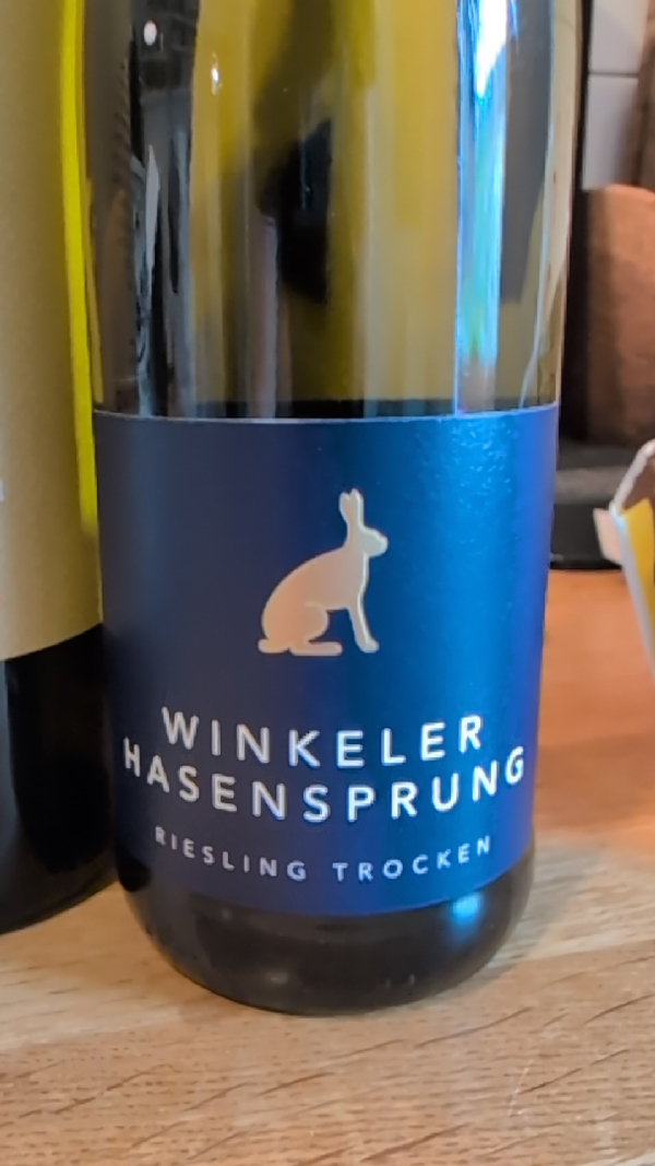 Winkeler Hasensprung Riesling Trocken - Image 1