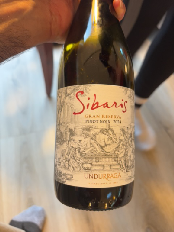 Undurraga Sibaris Gran Reserva Pinot Noir - Image 1