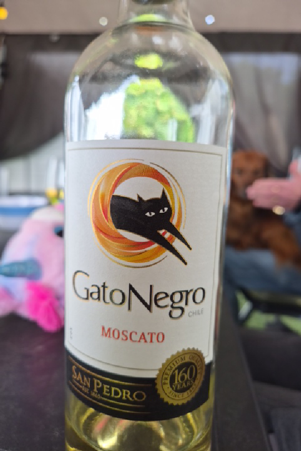 Gato Negro Moscato - Image 1