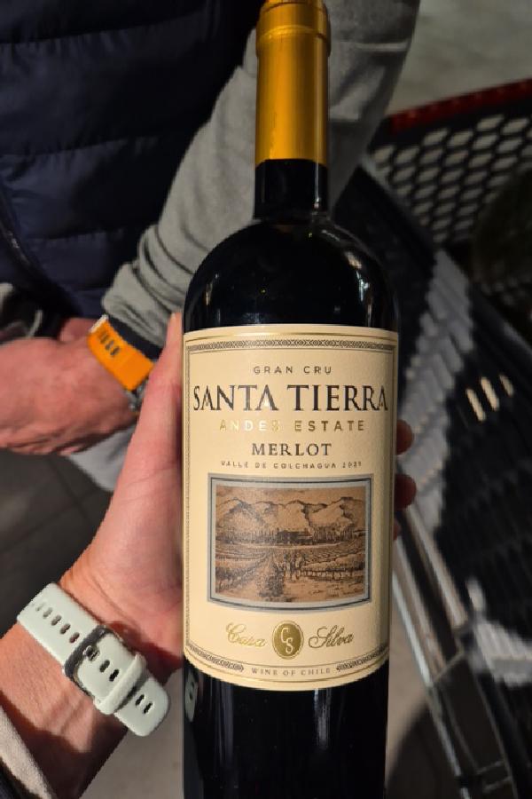 Santa Tierra Andes Estate Merlot - Image 1