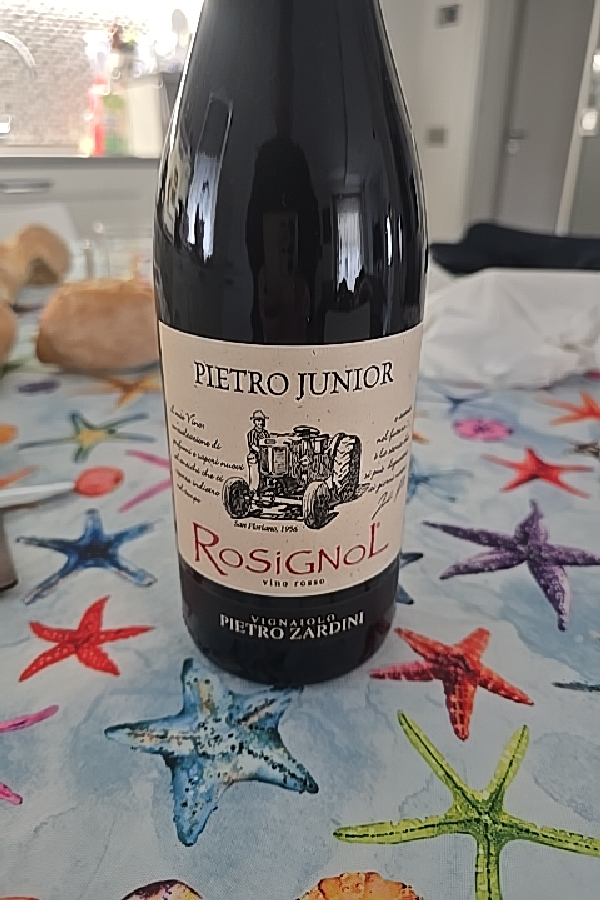 Pietro Junior Rosignol - Image 1