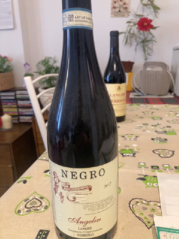 Angelin Langhe Nebbiolo - Image 1