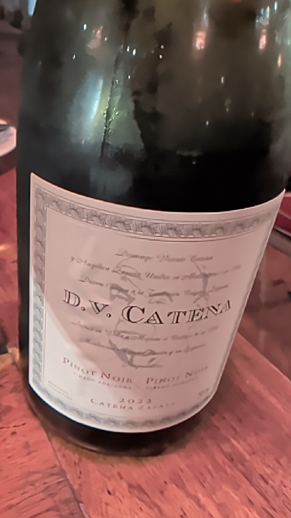 D.V. Catena Pinot Noir - Image 1