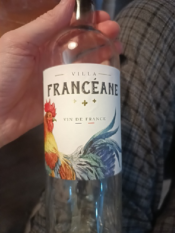 Villa Francéane - Image 1