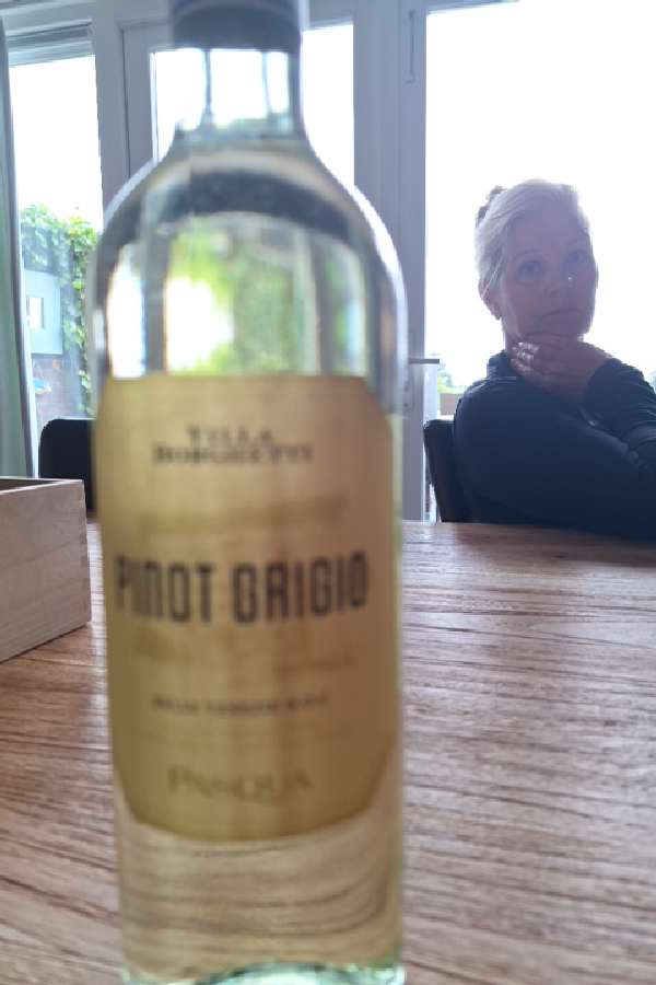 Villa Borghetti Pinot Grigio - Image 1