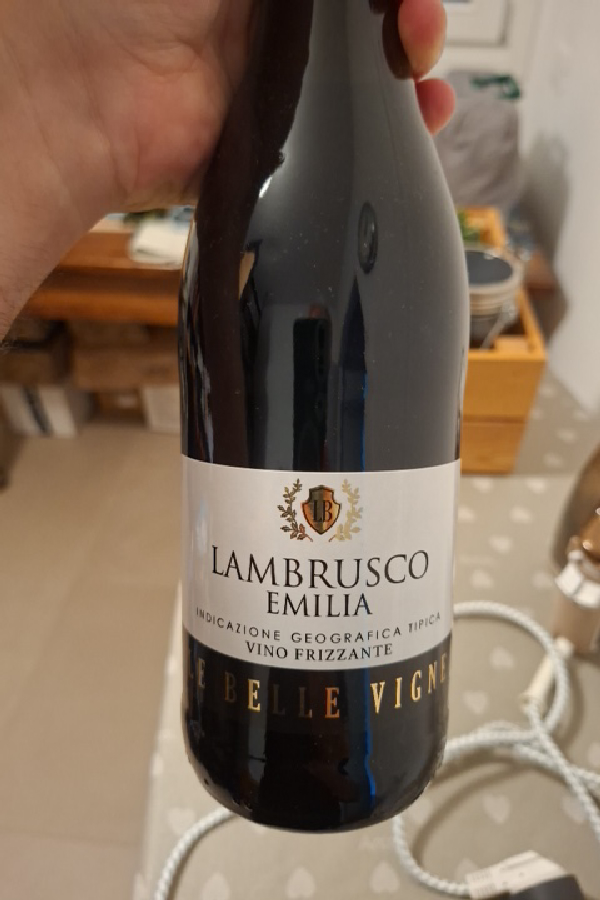 Lambrusco Emilia IGT Le Belle Vigne - Image 1