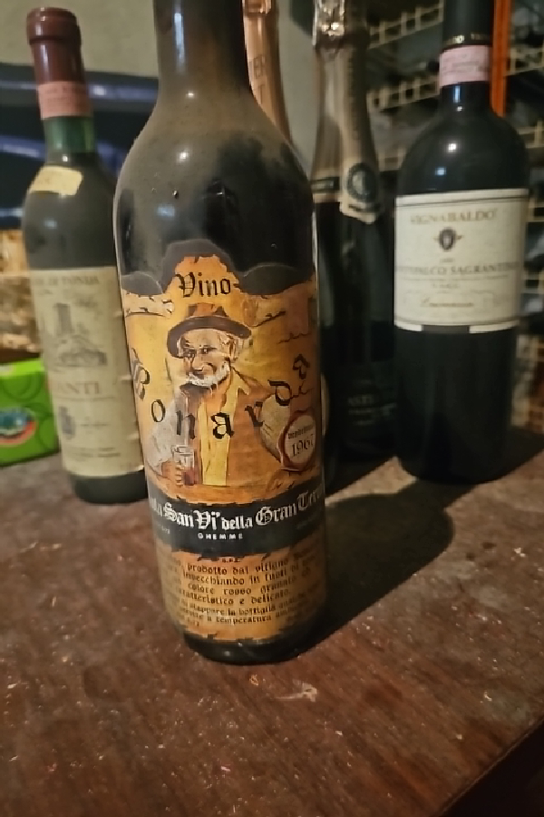 Vino Bonarda San Vi' della Gran Terra - Image 1