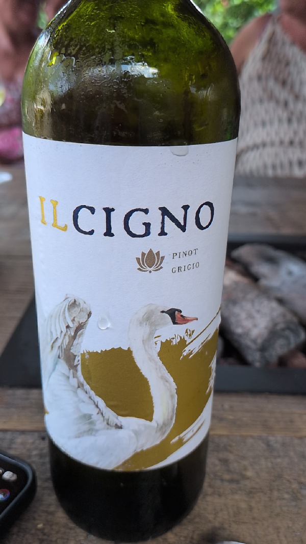 Il Cigno Pinot Grigio - Image 1