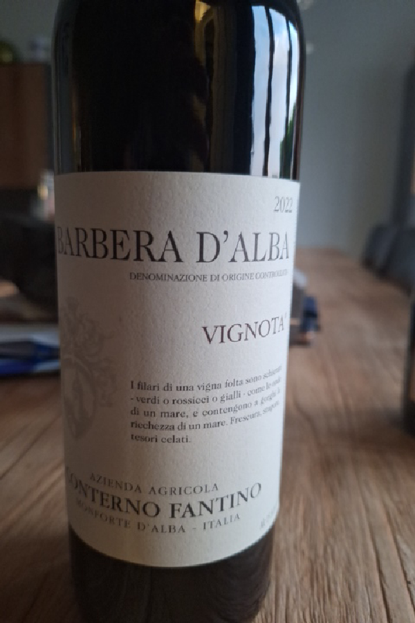 Barbera d'Alba Vignota - Image 1