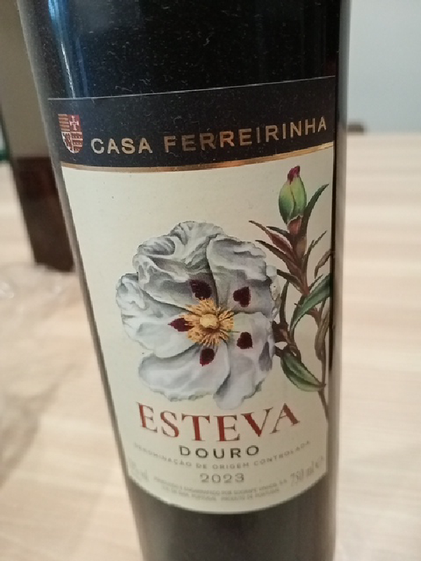 Esteva - Image 1