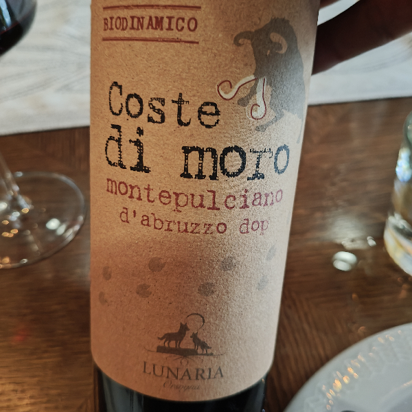 Coste di Moro Montepulciano d'Abruzzo DOP - Image 1