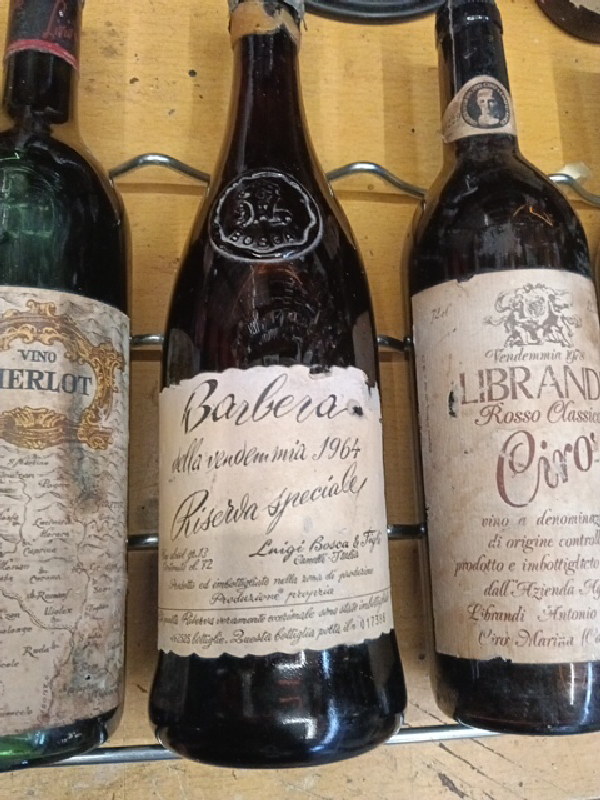 Barbera della vendemmia 1964 Riserva Speciale - Image 1