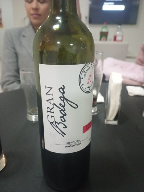 Gran Bodega Malbec - Bonarda - Image 1