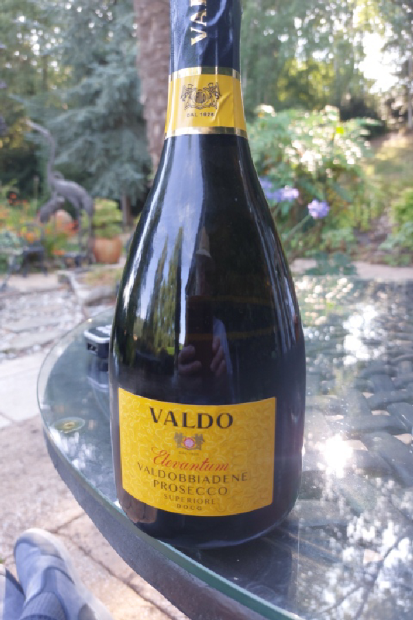 Valdo Elevantum Valdobbiadene Prosecco Superiore DOCG Brut - Image 1