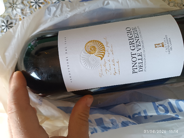 Pinot Grigio delle Venezie DOC - Image 1