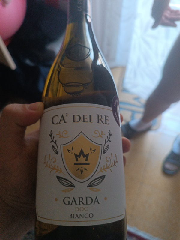 Ca' Dei Re Garda DOC Bianco - Image 1
