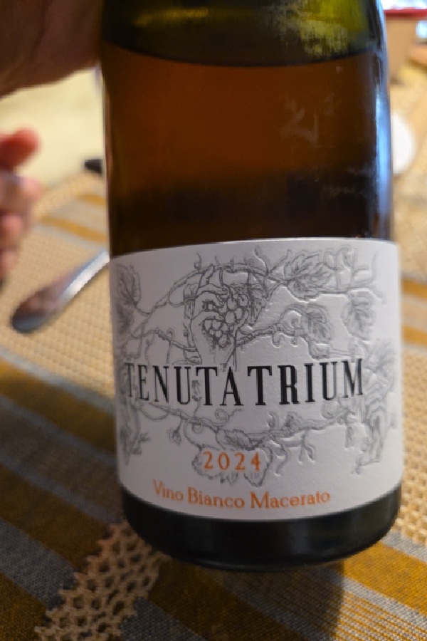 Tenuta Trium Vino Bianco Macerato - Image 1