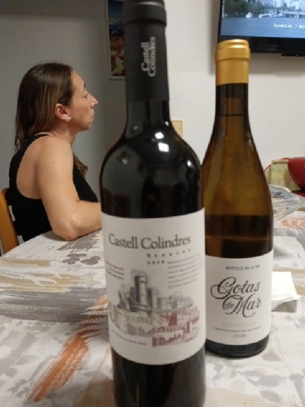 Gotas de Mar Godello Fermentado en Barrica - Image 1