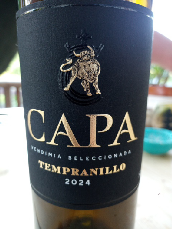 Capa Tempranillo Vendimia Seleccionada - Image 1