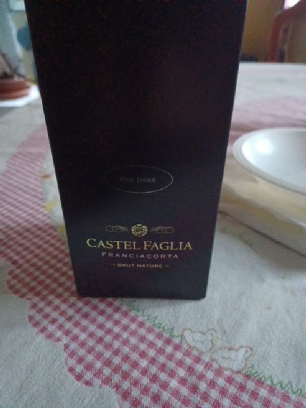 Franciacorta Brut Nature - Image 1