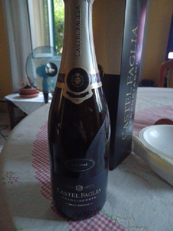 Castel Faglia Franciacorta Brut Nature - Image 1