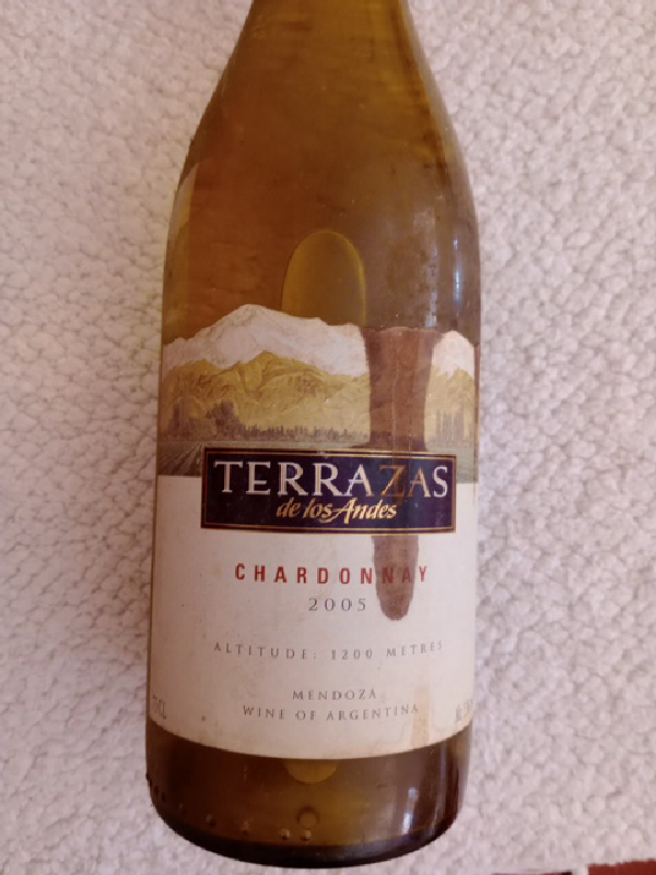 Terrazas de los Andes Chardonnay - Image 1