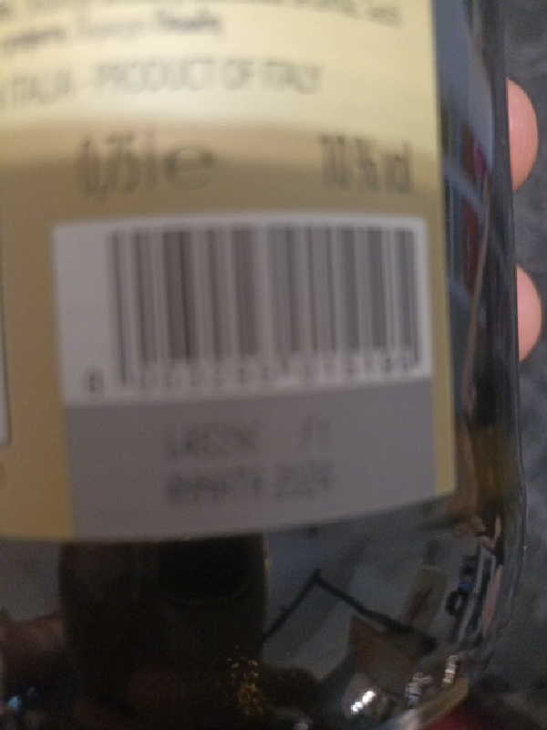 Unknown Italian Wine - Image 1