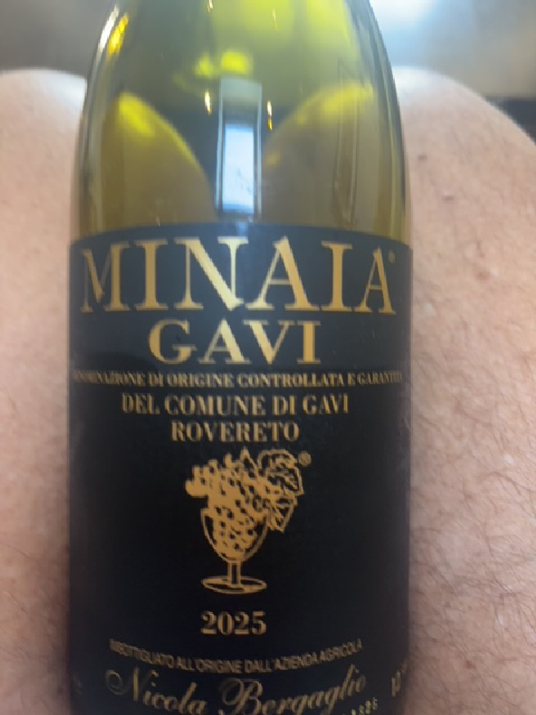 Minaia Gavi del Comune di Gavi Rovereto - Image 1