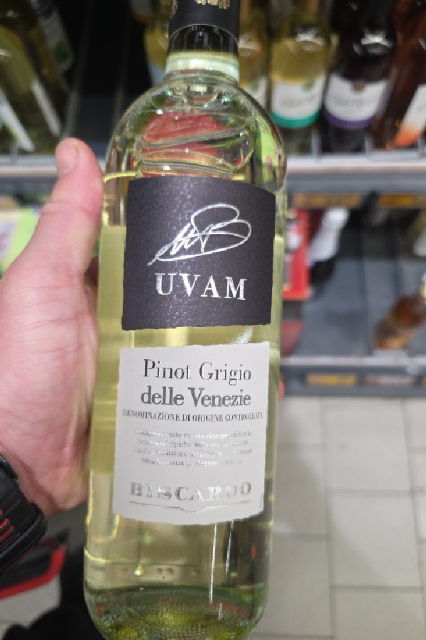 UVAM Pinot Grigio delle Venezie - Image 1