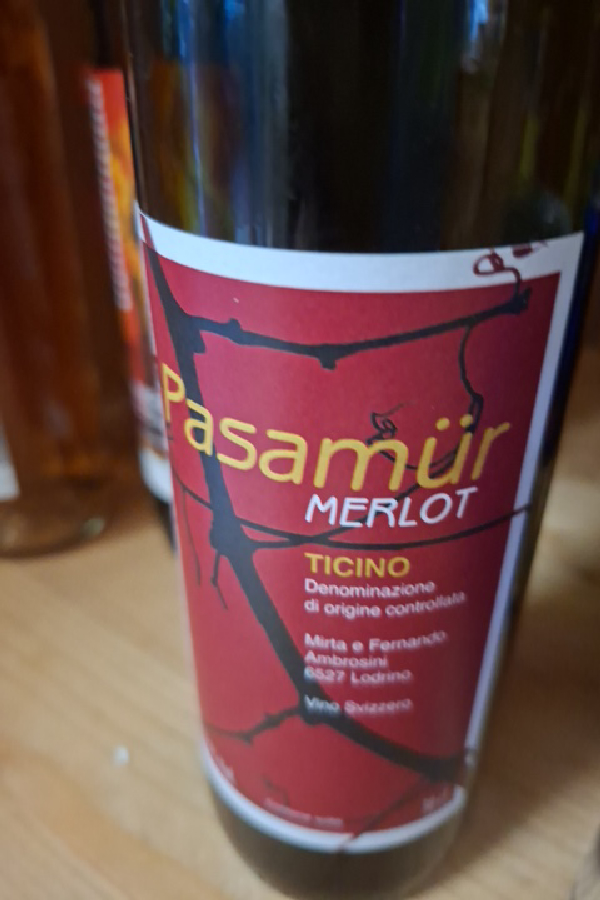 Pasamür Merlot - Image 1