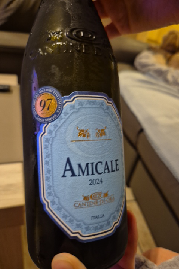 Amicale Rosso Veneto IGT - Image 1